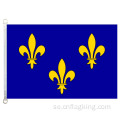 lle-de-France flagga 100% polyster 90*150cm